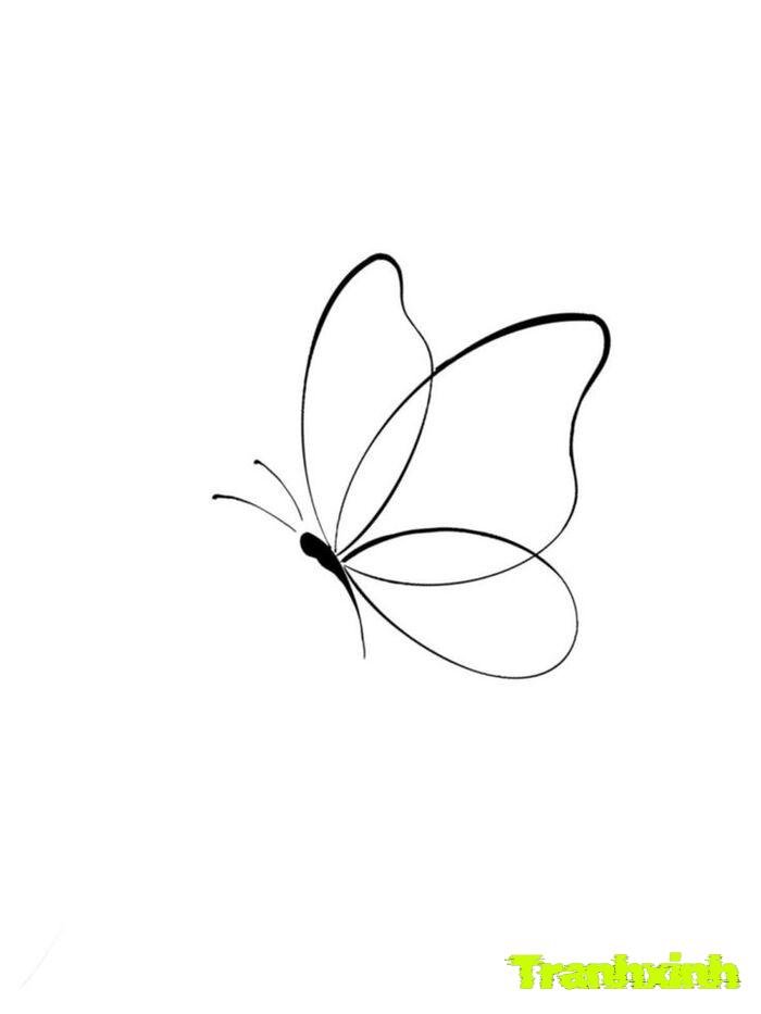 trang trí họa tiết minh họa trang trí