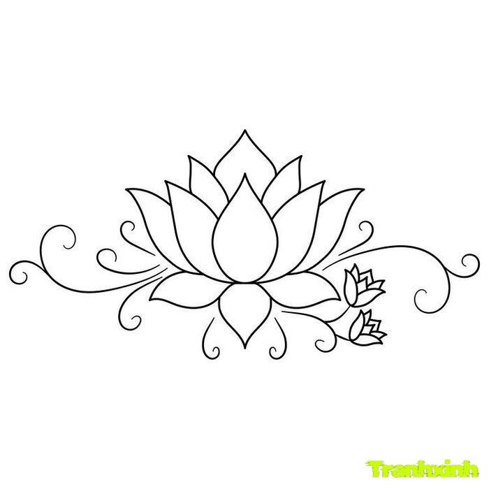 trang trí họa tiết phong cách thẩm mỹ