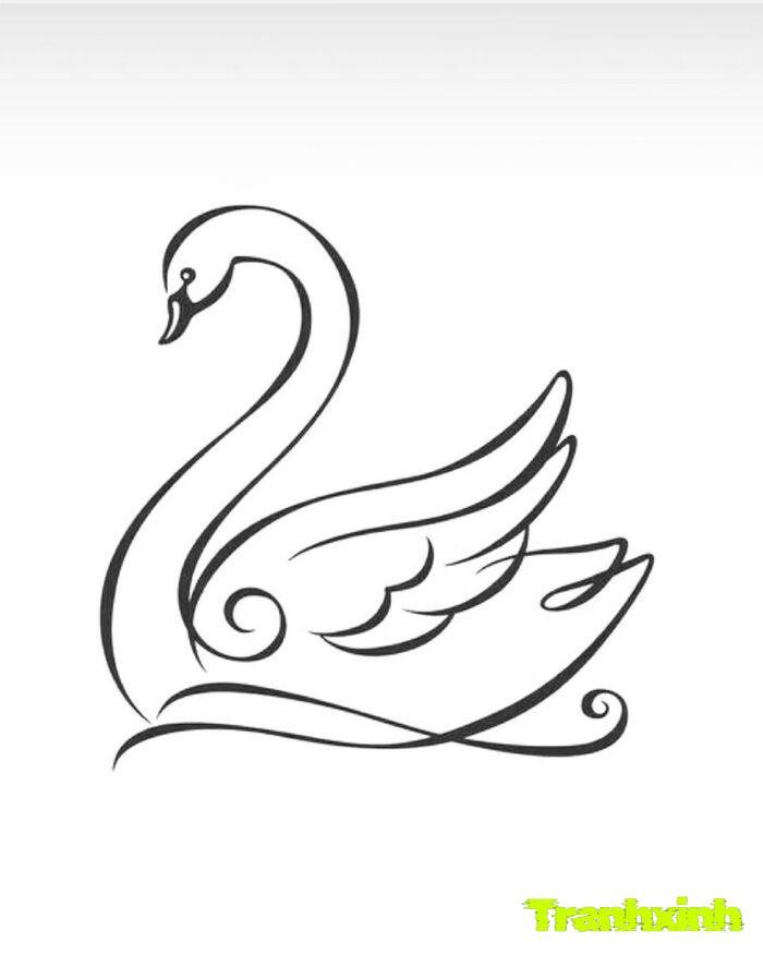 trang trí họa tiết thiết kế tinh xảo