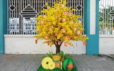 trang trí mai tết