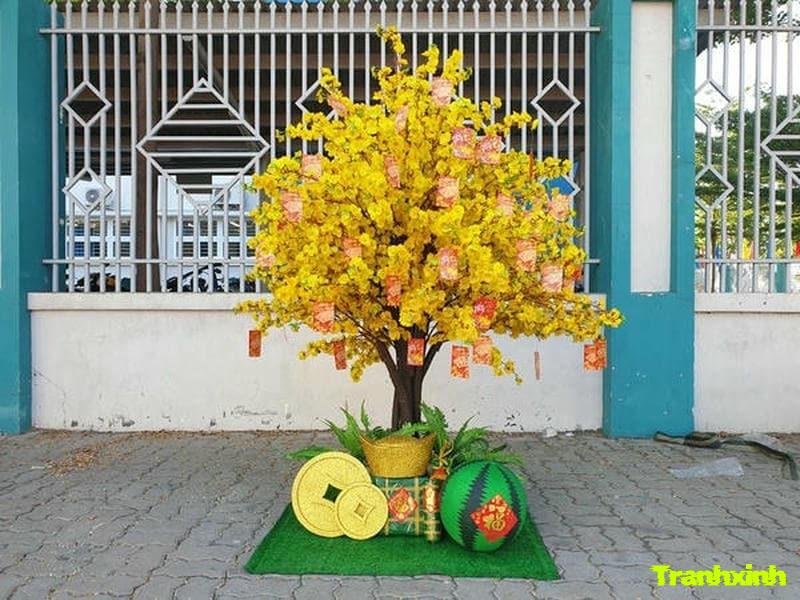 trang trí mai tết