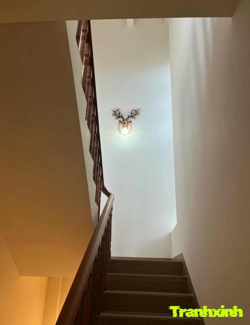 trang trí nội thất cầu thang