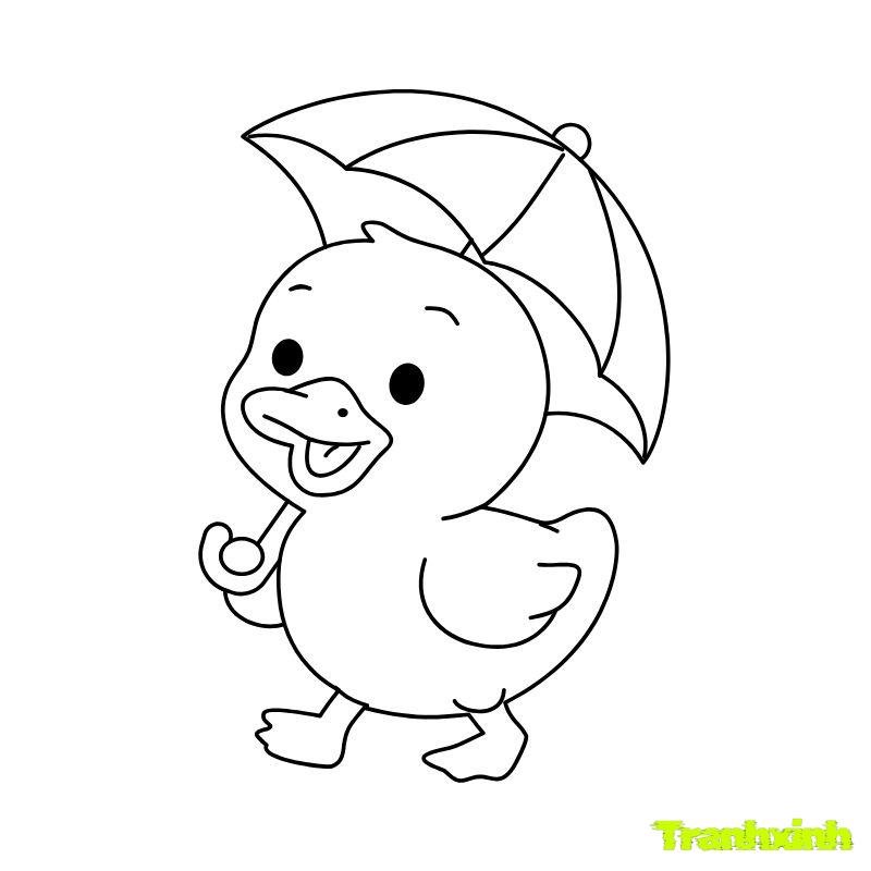 tranh con vịt tô màu