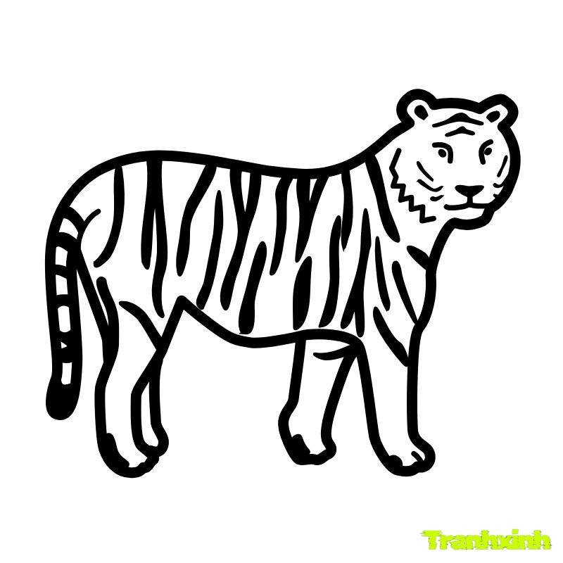 tranh tô con hổ