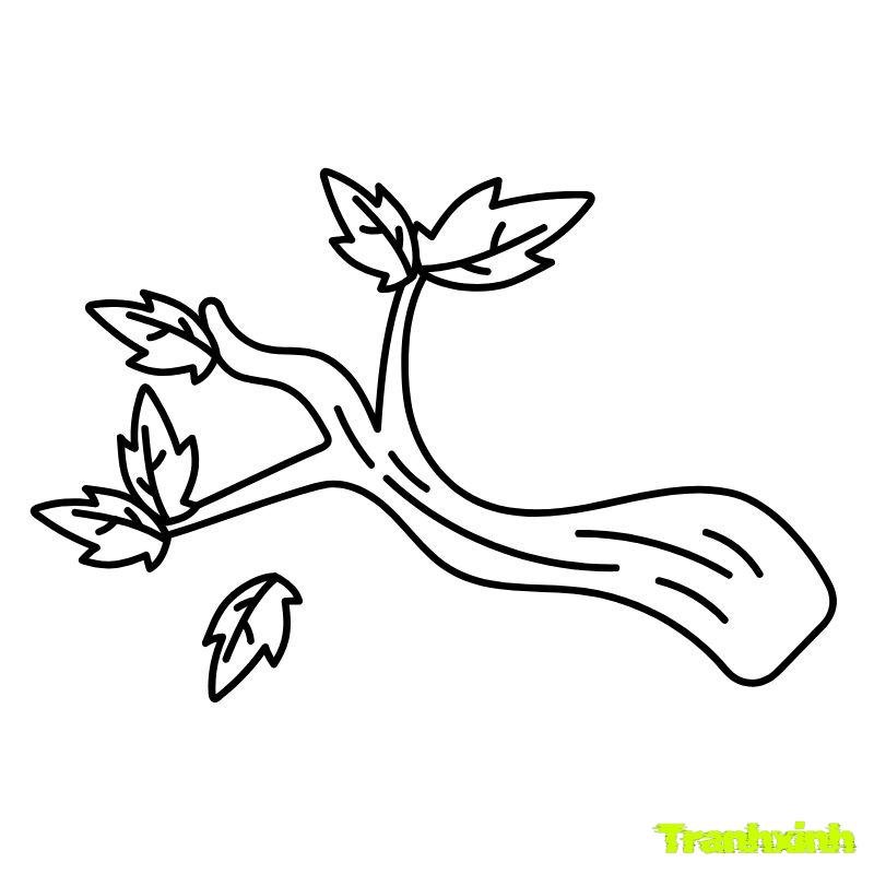 tranh tô màu các loại cây xanh