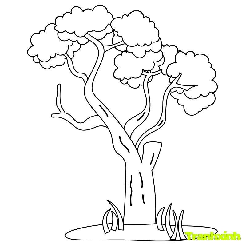 tranh to mau cay xanh