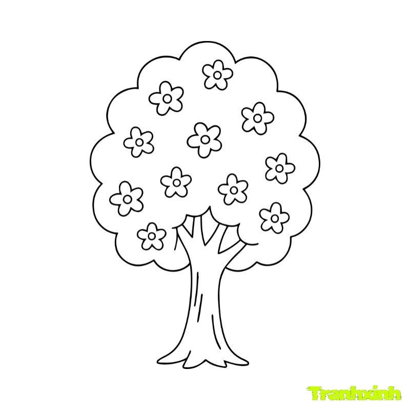 tranh tô màu cây xanh 4k