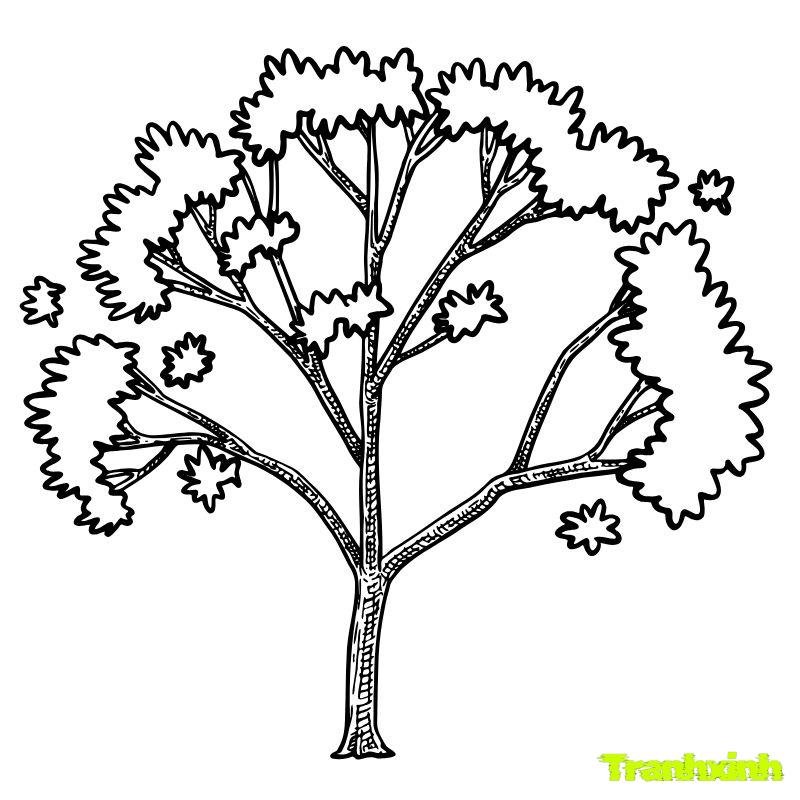 tranh to màu cây xanh cho bé