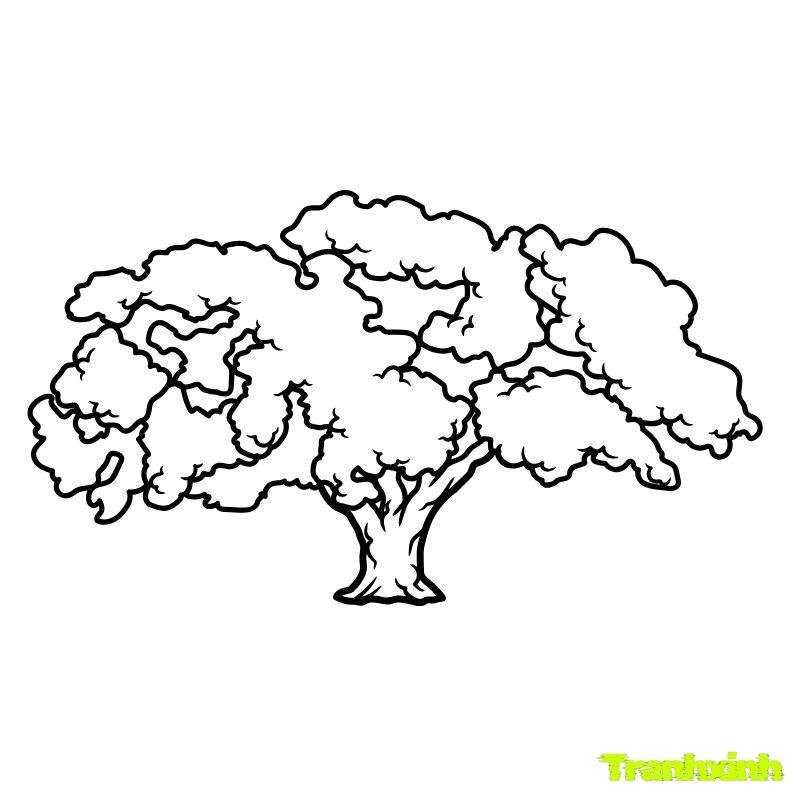 tranh tô màu cây xanh và môi trường sống