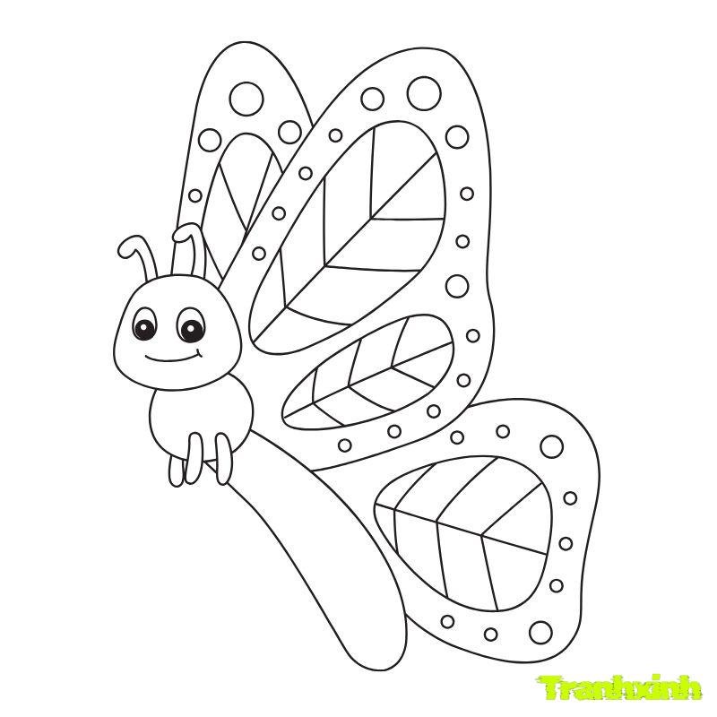 tranh tô màu con bướm