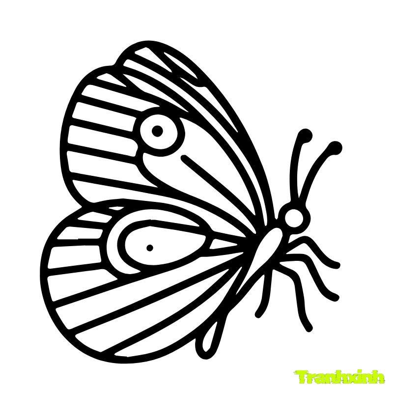 tranh tô màu con bướm 3d