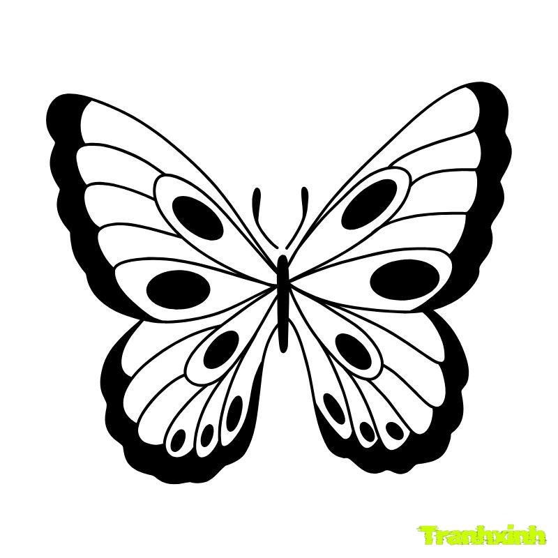 tranh tô màu con bướm 8k