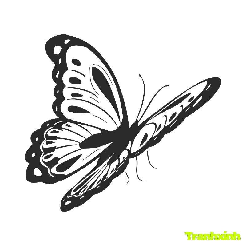 tranh tô màu con bướm đẹp
