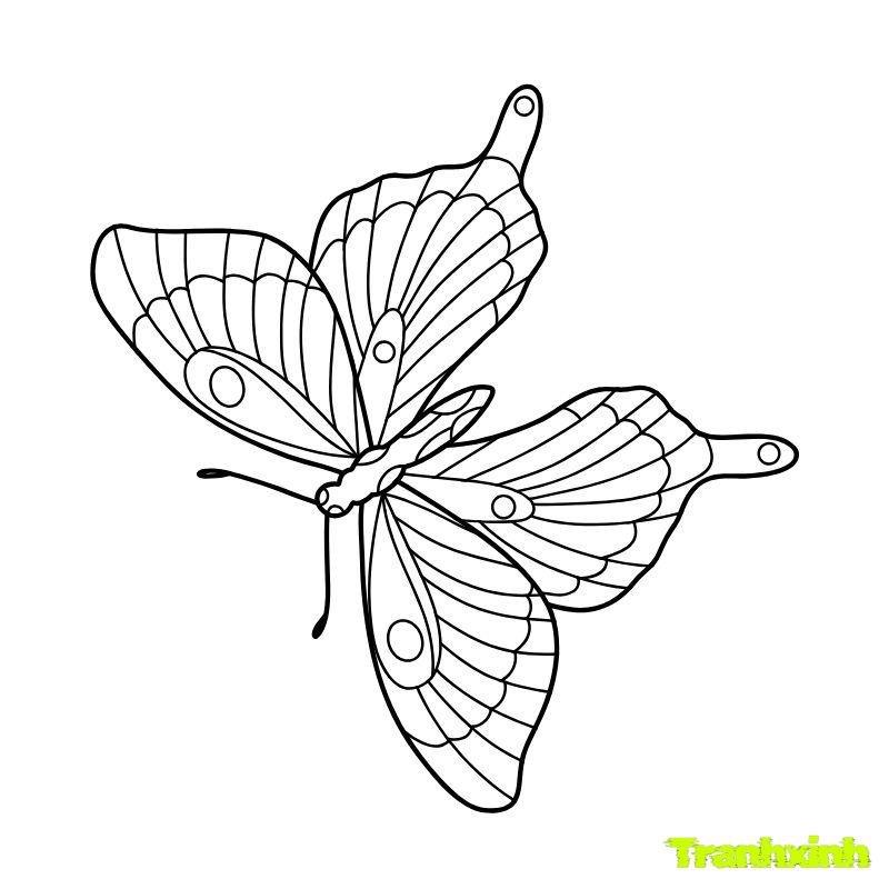 tranh tô màu con bướm học trò