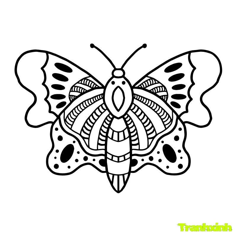 tranh tô màu con bướm mầm nin