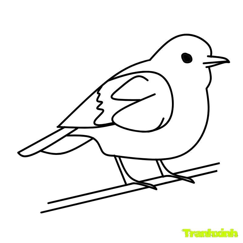 tranh tô màu con chim bồ câu