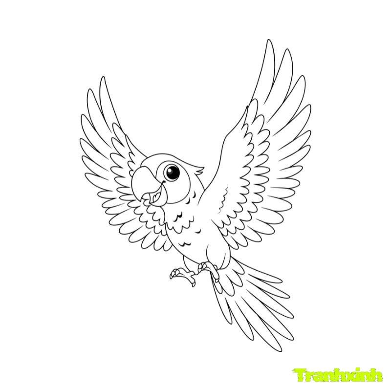 tranh tô màu con chim đang bay