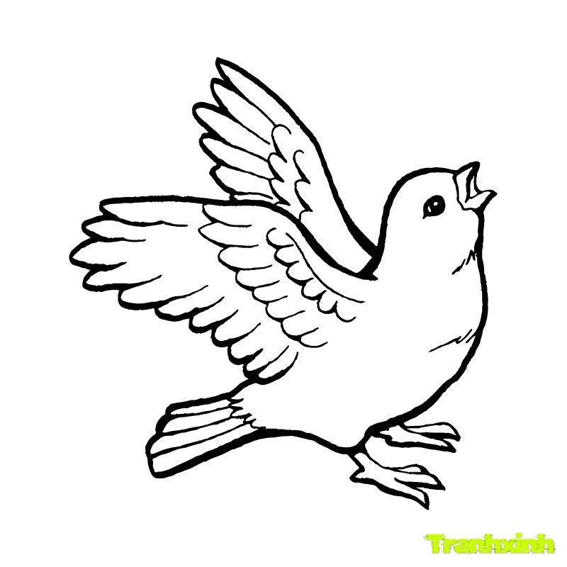 tranh tô màu con chim quạ