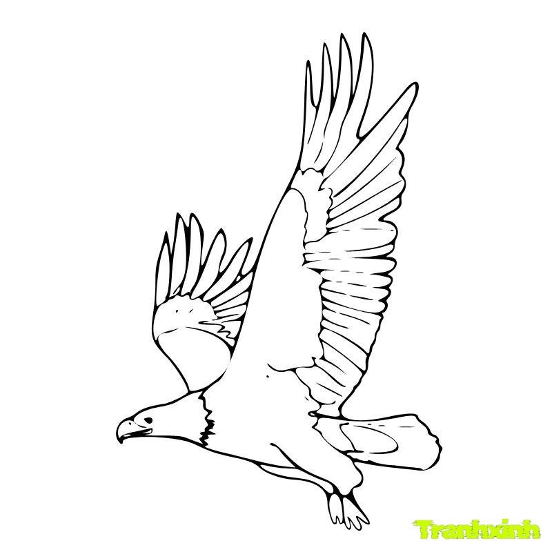 tranh tô màu con chim sẻ