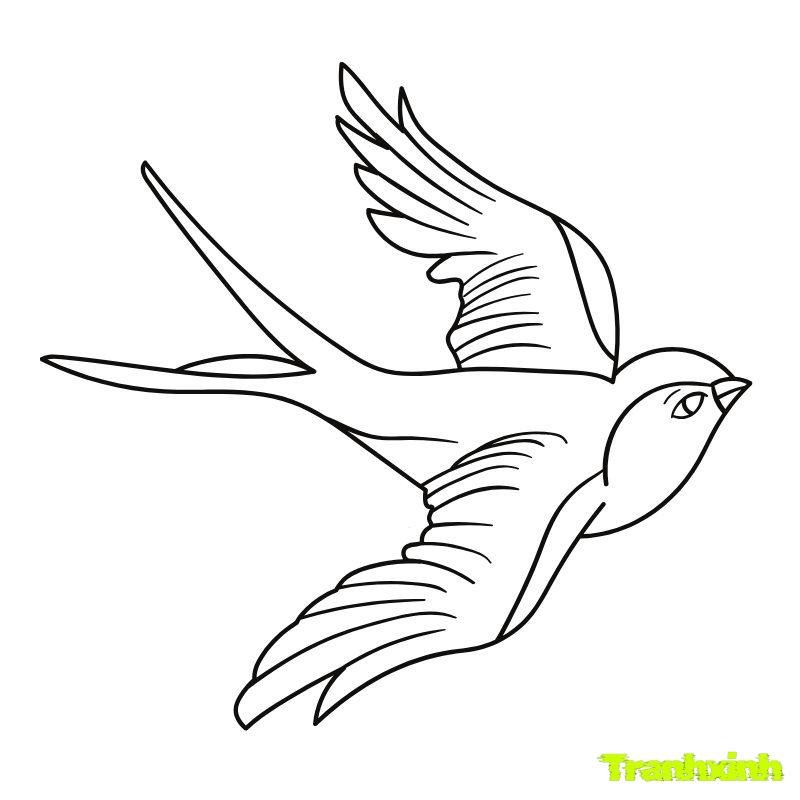 tranh tô màu con chim se