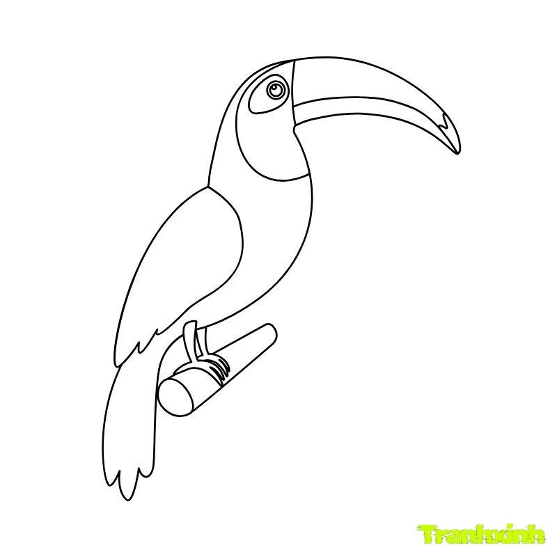 tranh tô màu con chim vẹt