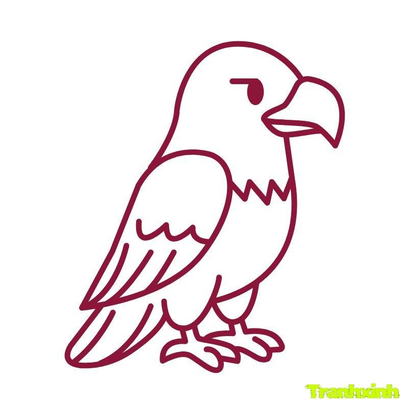 tranh to mau con chim