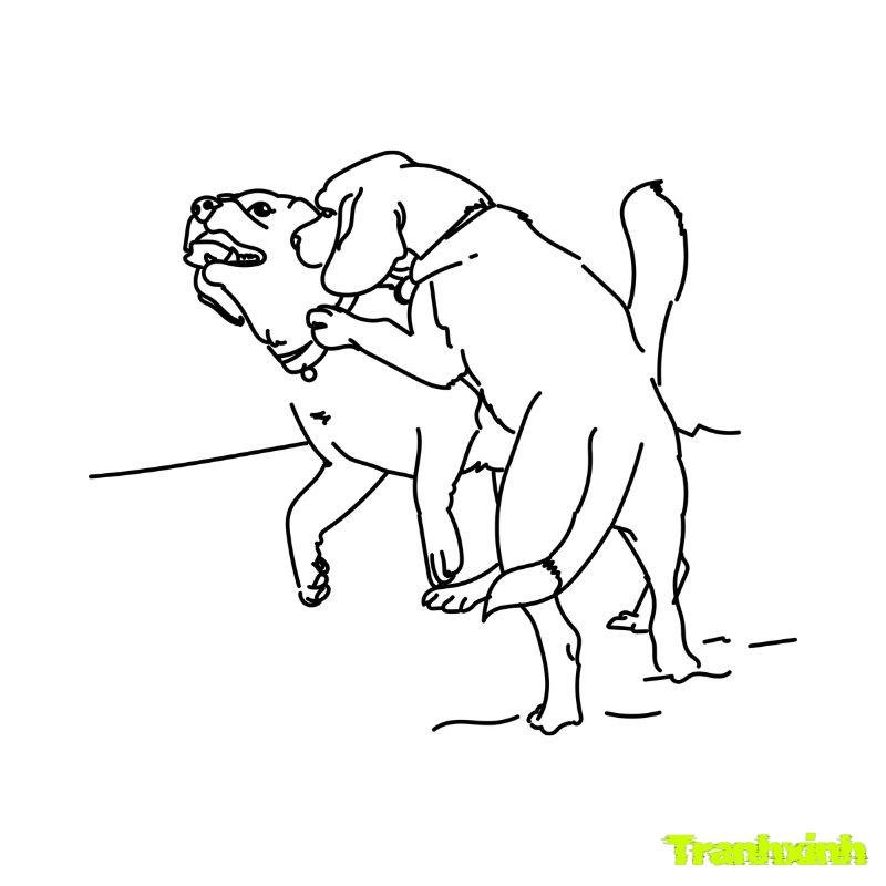 tranh tô màu con chó cắn nhau