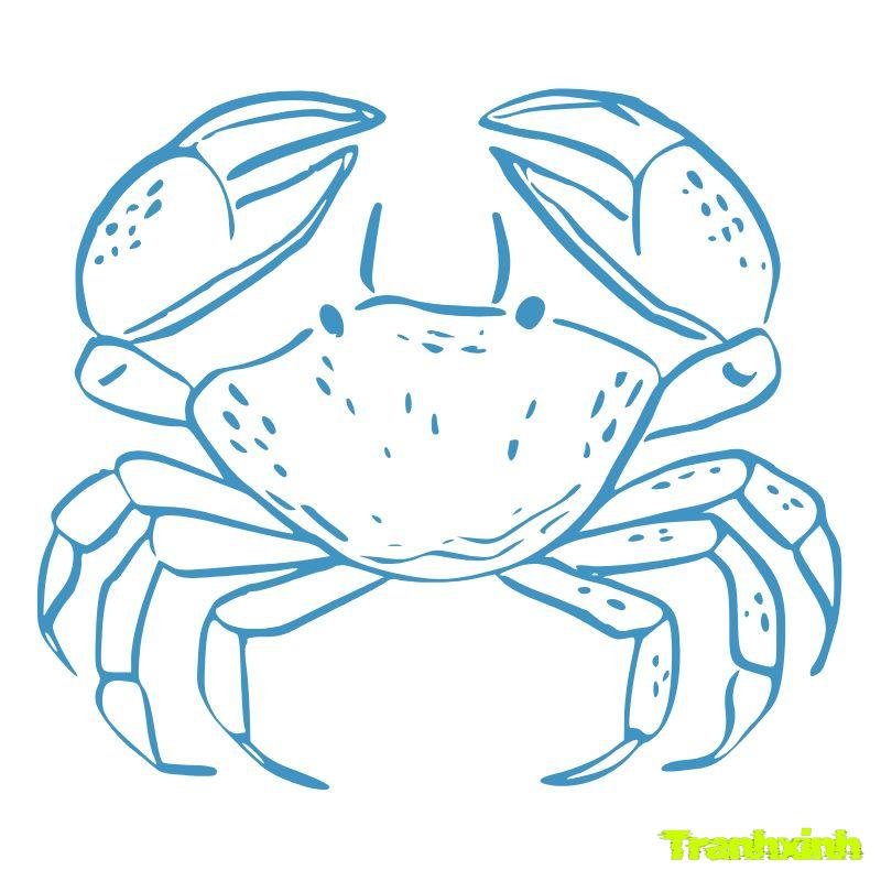 tranh tô màu con cua 8k