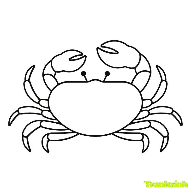 tranh tô màu con cua đồng