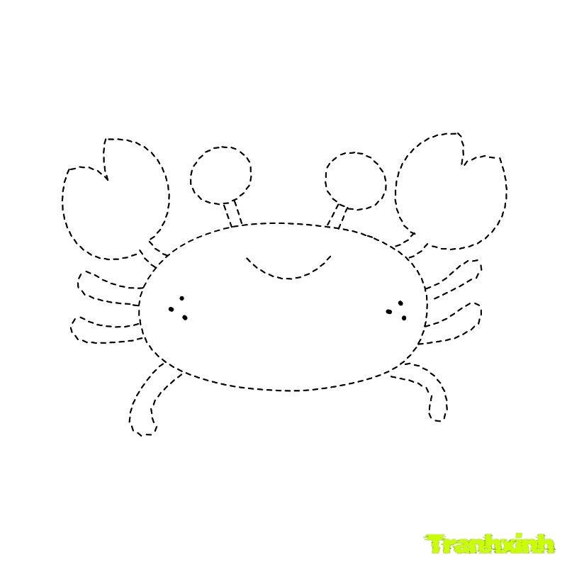 tranh tô màu con cua tập tô