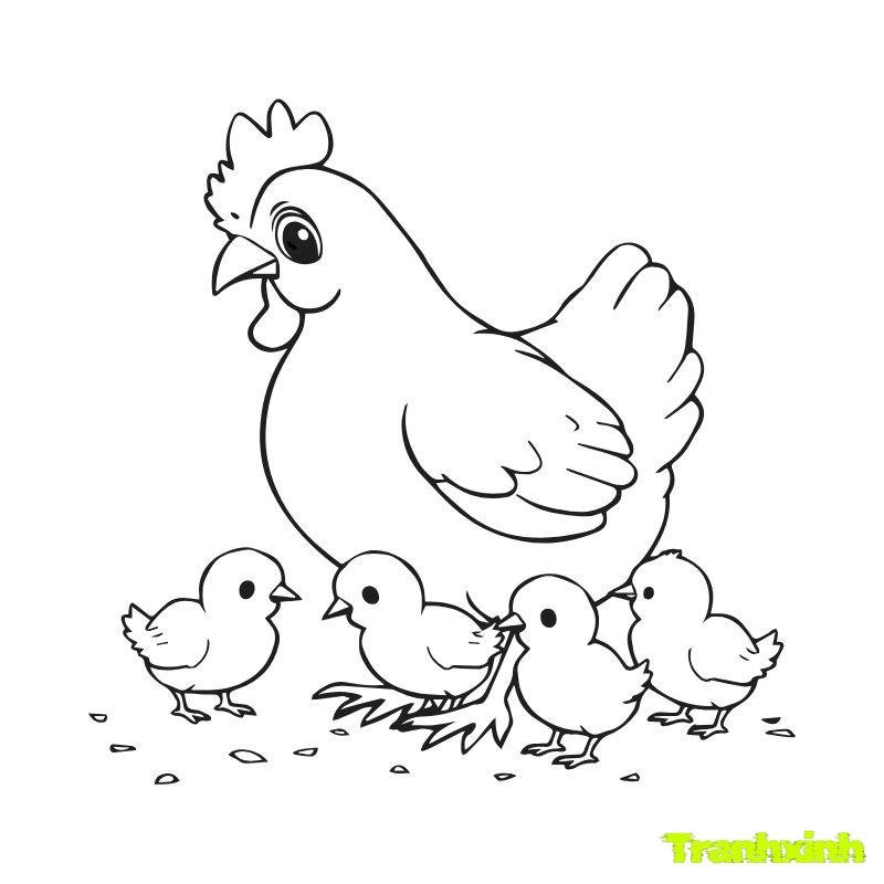 tranh tô màu con gà