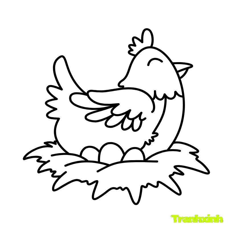 tranh tô màu con gà đẻ trứng