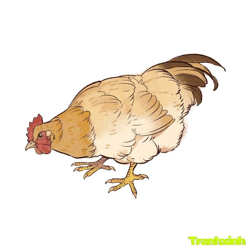 tranh tô màu con gà hd