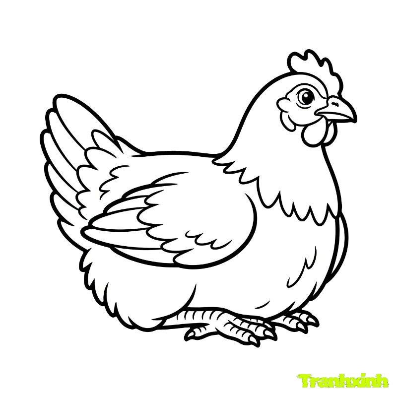 tranh tô màu con gà