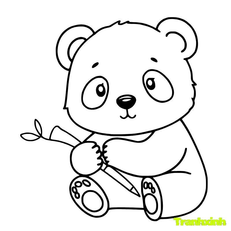 tranh tô màu con gấu đáng eo