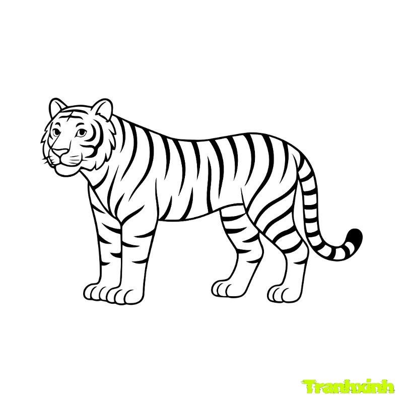 tranh tô màu con hổ đẹp