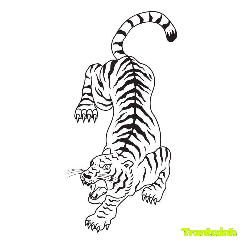 tranh tô màu con hổ gào
