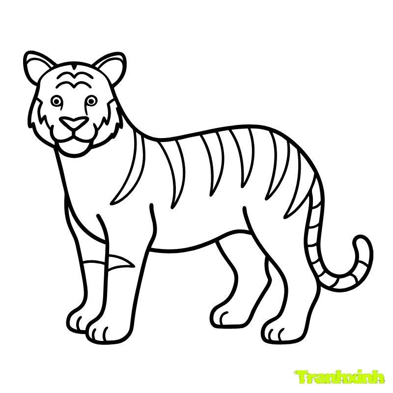 tranh tô màu con hổ hd