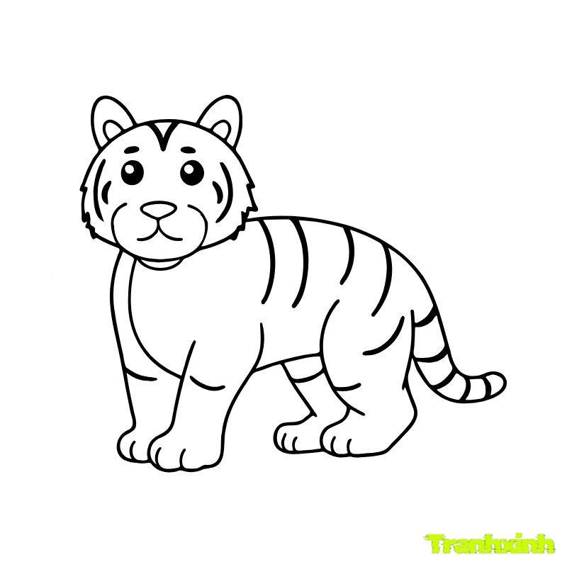 tranh tô màu con hổ mập