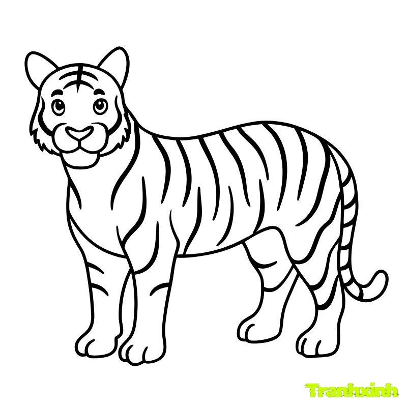 tranh tô màu con hổ non