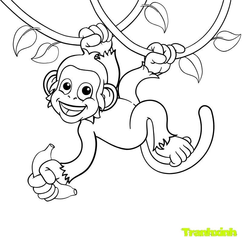 tranh tô màu con khỉ cho trẻ