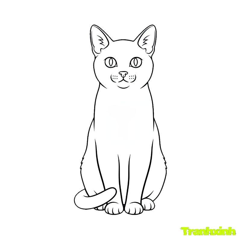 tranh tô màu con mèo gầy