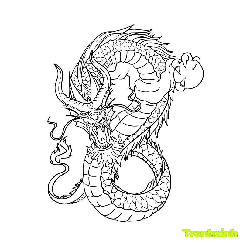 tranh tô màu con rồng bay