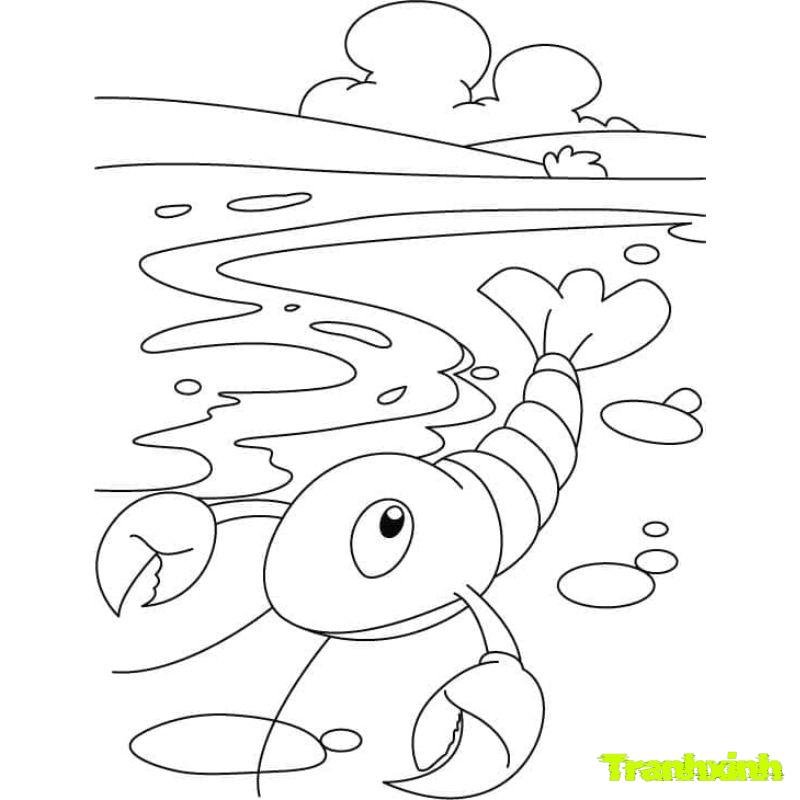 tranh tô màu con tôm biển