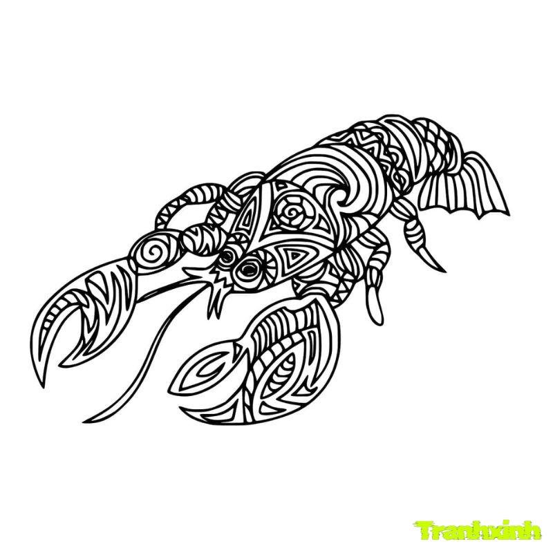 tranh tô màu con tôm cho trẻ