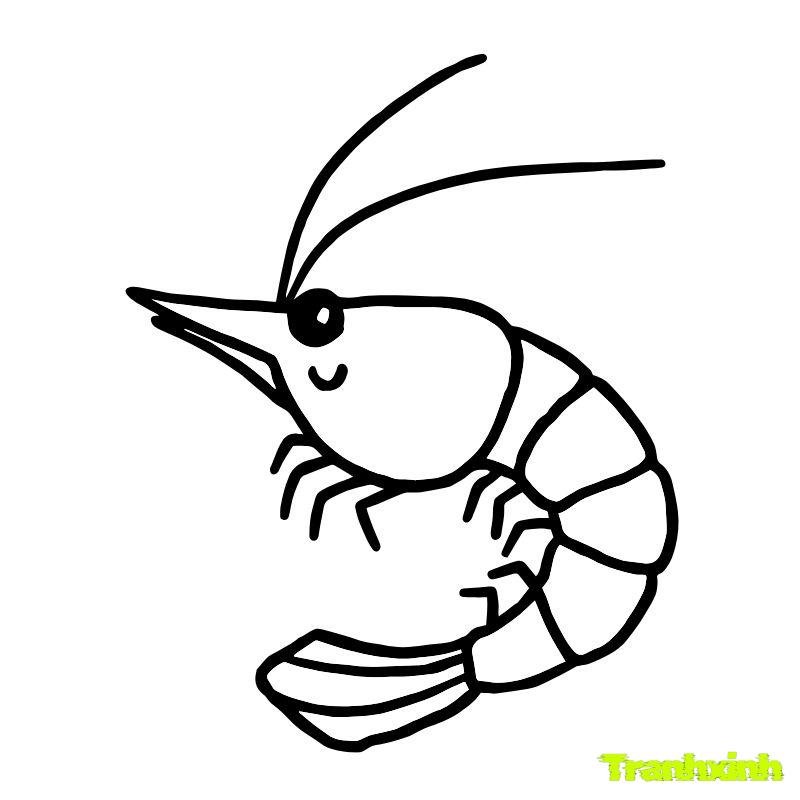 tranh tô màu con tôm hd
