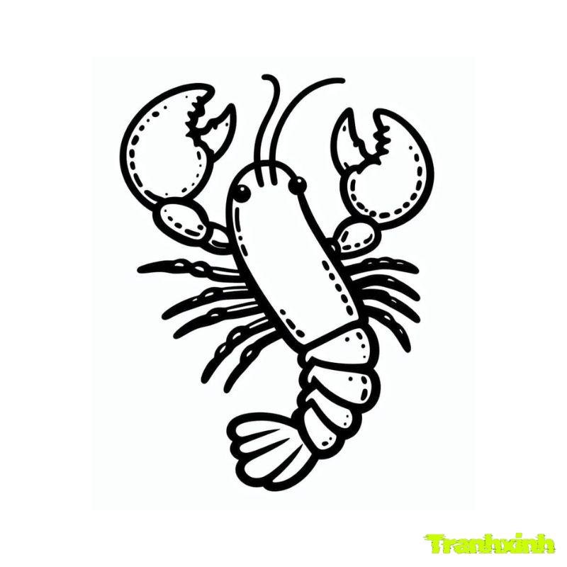 tranh tô màu con tôm hum