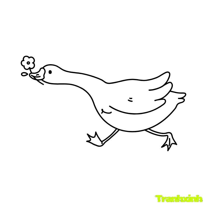tranh tô màu con vịt chạy
