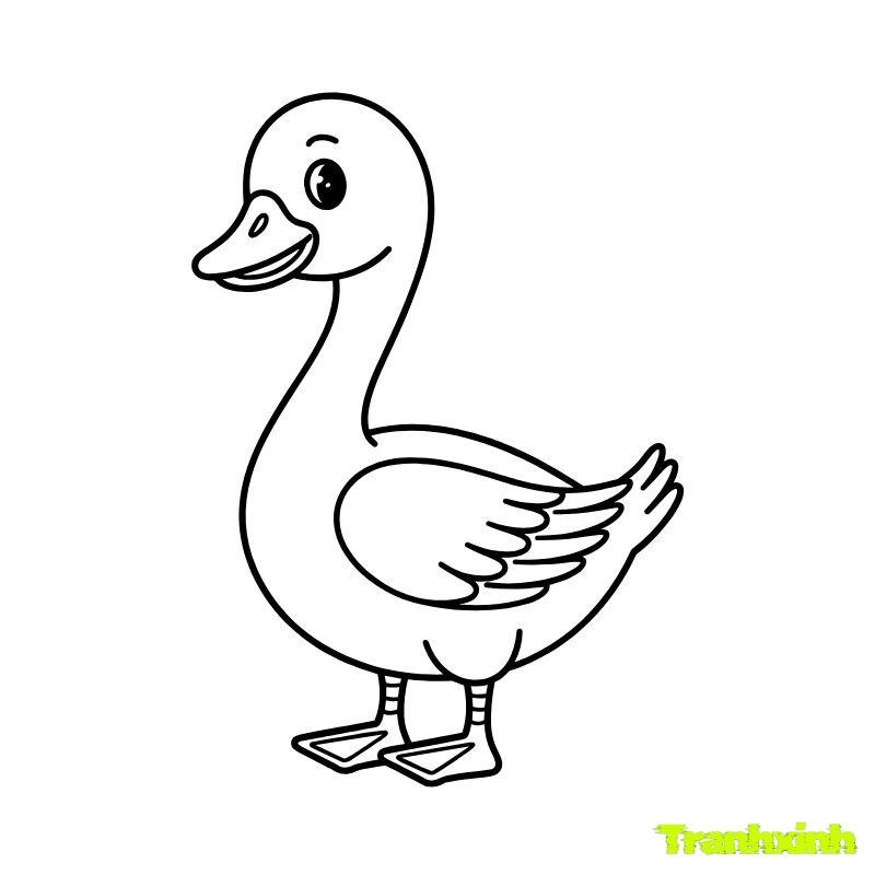 tranh tô màu con vịt mỏ nhọn