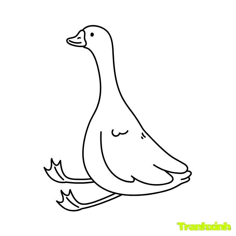 tranh tô màu con vịt ngồi